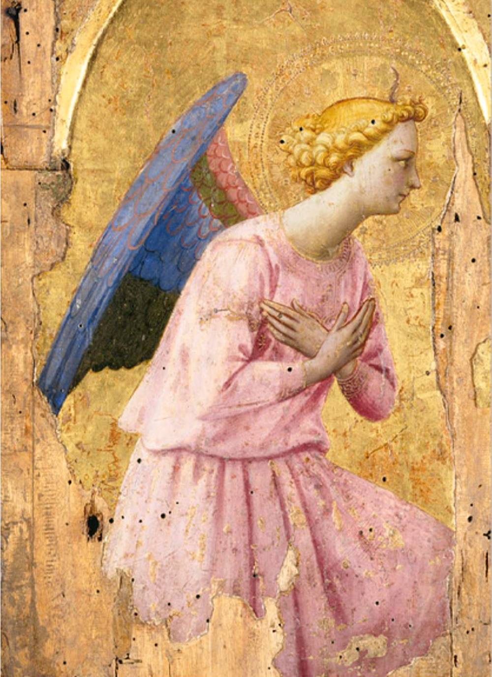 Poster Fra Angelico - Angel in adoration - 50 x 70 cm