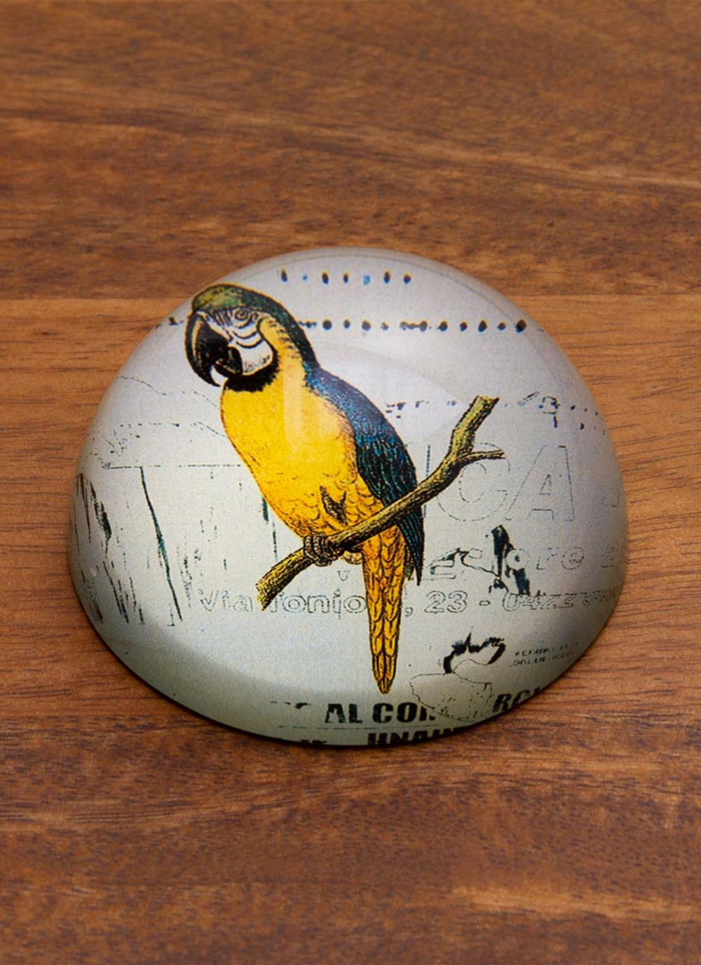 Parrot paperweight